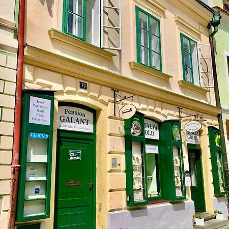 Apartman Galant Český Krumlov Exteriör bild